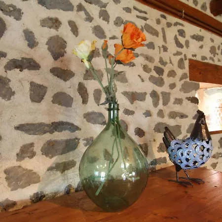 Holiday home Charme Du Velay : Maison De Caractere Avec Cheminee, Terrasse Et Equipements Bebe A St-paulien - Fr-1-582-266 *